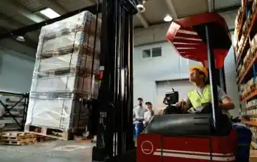 Cargo Handling companies